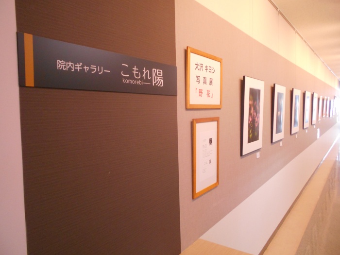 ギャラリー全景