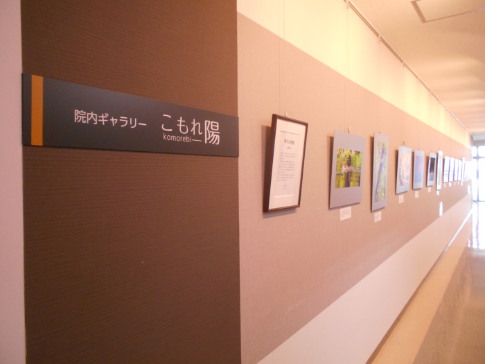 ギャラリー全景