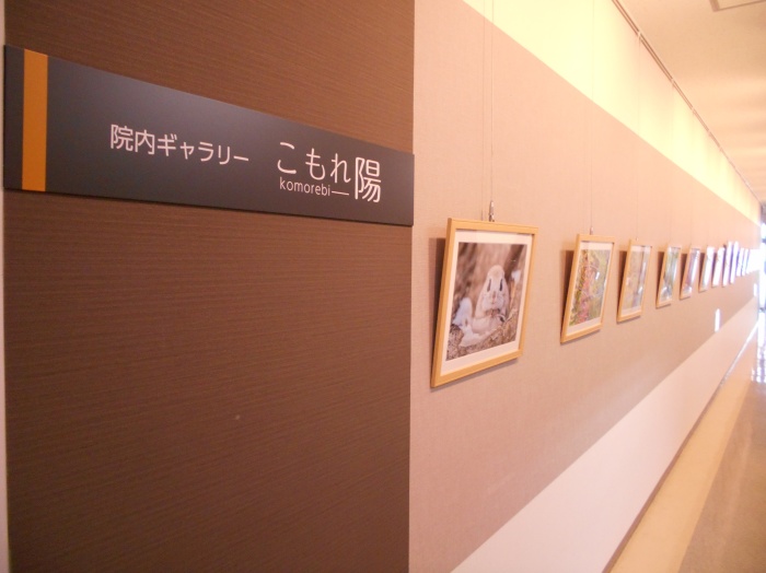 ギャラリー全景①