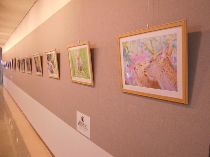 ギャラリー全景②