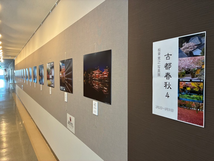 ギャラリー全景1