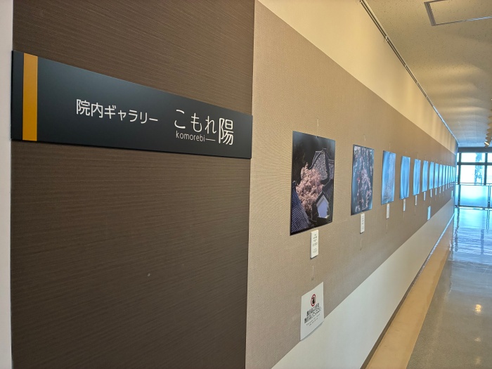 ギャラリー全景2